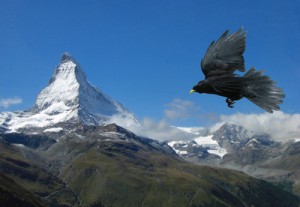 Wellnessprogramm für den Junggesellenabschied Wellnessprogramm für den Junggesellenabschied
