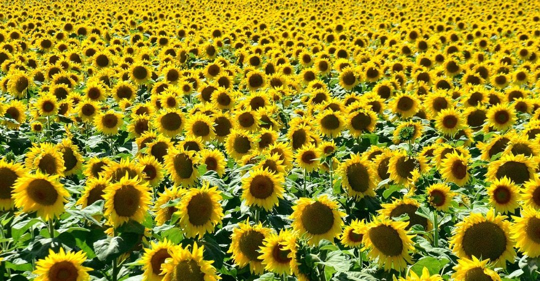 Junggesellenabschied Sommer: 15 Programm Tipps
