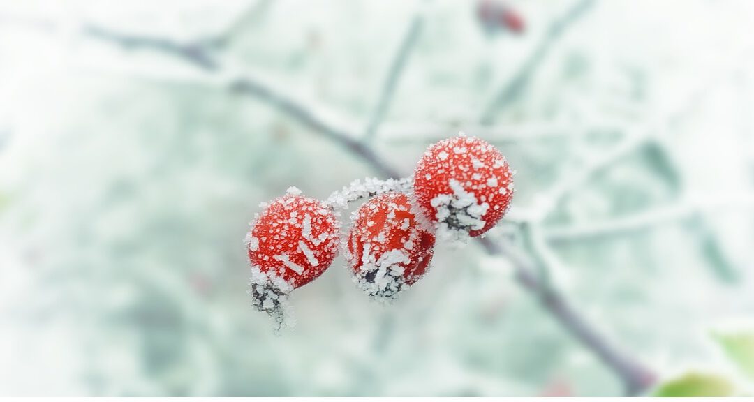 JGA im Winter: 15 Ideen für die kalte Jahreszeit